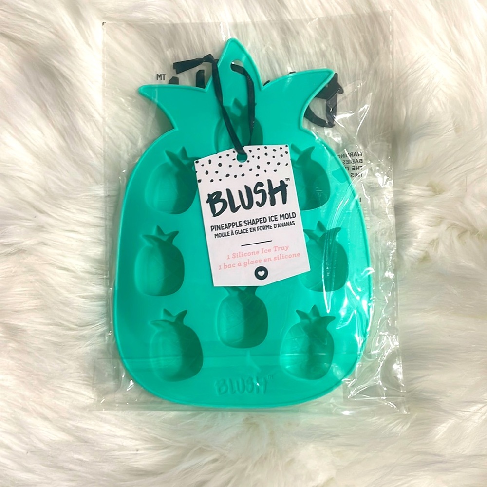 🍍✨NWT BLUSH Pineapple Shaped Ice Mold✨🍍